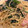♪きっとんとん♪'s cooksnap of when they made ほうれん草とベーコンのクリームパスタ.