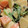 tsmitaka's cooksnap of when they made ほうれん草とりんごのサラダ.