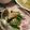 マールマル's cooksnap of when they made のらぼう菜　簡単おひたし.