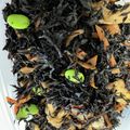 sachinosa's cooksnap of when they made ひじきと蓮根の煮物.