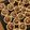 spitze's cooksnap of when they made うずまきクッキー.