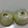 おちゃめｙｙさん's cooksnap of when they made 玉ねぎ・新玉ねぎの保存方法.