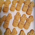 nekochan40's cooksnap of when they made お豆腐で簡単☆米粉のきな粉クッキー。.