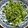 クック8J0LFQ☆'s cooksnap of when they made 青臭さ感じない！豆苗の塩麹胡麻和え.