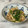 ナピト's cooksnap of when they made レタスとしめじともやしのピリ辛ナムル風.