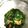 milsalud's cooksnap of when they made 簡単ニラ醤油.