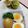 みっちゃん❇️68's cooksnap of when they made 味玉　（味付けたまご）.