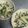 糖質OFF✿聖紫花✿'s cooksnap of when they made ツナときゅうりの海苔たっぷりサラダ♪.