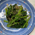 ピーナッツ子♪'s cooksnap of when they made 超簡単時短副菜♡ほうれん草のおかか和え.
