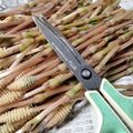 an0v0ko's cooksnap of when they made 簡単なツクシの下処理.