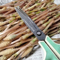 an0v0ko's cooksnap of when they made 簡単なツクシの下処理.