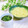 Satoco❋'s cooksnap of when they made 博多の夜のラーソーメン（ふとっぱら風）.