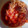 しほのかんたん's cooksnap of when they made 迫る特に予定無し誕生日とトマト缶パスタ.
