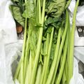 ささささ＆＊'s cooksnap of when they made 蘇る！ほうれん草の保存法☆彡.