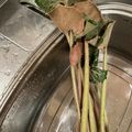 烏龍茶梅's cooksnap of when they made ふき(野草ツワブキ)の下ごしらえ☆保存★.