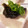クックG1CG0C☆'s cooksnap of when they made ～春は生青のりの佃煮を～.