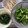 ほもさぴくろまによん's cooksnap of when they made 若ごぼうの下ごしらえ.