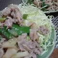 ひっこ's cooksnap of when they made ご飯がすすむ～ 葱と豚肉の油味噌.