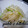 yukiはぴ's cooksnap of when they made 我が家おすすめ！エノキと大根の梅酢あえ.