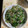 クックQT23CK☆'s cooksnap of when they made 簡単♪ほうれん草の中華炒め.
