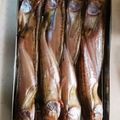 のんミ☆'s cooksnap of when they made 超簡単☆自家製☆ハタハタの干物の作り方.