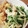 キュピコ's cooksnap of when they made 5分で完成♡ツナと水菜のゴママヨサラダ.