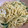 星野ちゃん's cooksnap of when they made 簡単！タラとキノコのクリームパスタ.