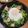 スージー＆ジル's cooksnap of when they made スキレットで簡単♪ほうれん草ソテー.