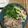 はーとねこ's cooksnap of when they made え？これだけ？豚の生姜焼き.