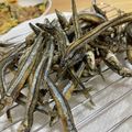 ☆motsu☆'s cooksnap of when they made お米の粉で、キビナゴの唐揚げ.