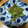 ＊かるさ＊'s cooksnap of when they made タラの芽のごまみそ和え.