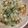いちこりさ's cooksnap of when they made 【離乳食中期】ツナと野菜の煮込みうどん.