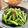 Superlittleboo's cooksnap of when they made スナップえんどうのごま和え.