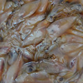 KIMI猫大好き's cooksnap of when they made ほたるいかの沖漬け.