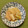 コムギ大好き's cooksnap of when they made 焼き葱が香ばしい大根と絹揚げの煮物.