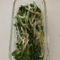 yokoyoko76's cooksnap of when they made コスパ最強…♡もやしと水菜のナムル.