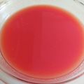 おのののいこ's cooksnap of when they made 簡単★生トマトからトマトジュース.