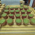 るうニャン姉さん's cooksnap of when they made チョコチップ入りココアマドレーヌ.