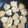 ぐりtoぐら's cooksnap of when they made 米粉でもちもち♡大根もち(磯部焼き風).