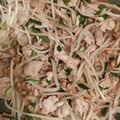 おケロ☆'s cooksnap of when they made 簡単！めちゃうま♪豚バラもやし納豆炒め♪.