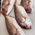 ちゃまたまご's cooksnap of when they made ☆お魚のさばき方☆ 〜鯛編〜.