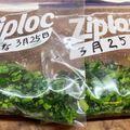 horseland's cooksnap of when they made カキなの保存法と解凍法を試してみました.