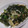 きらり流れ星's cooksnap of when they made 切り昆布とお揚げの七味唐辛子炒め.