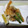 チョロ坊's cooksnap of when they made のどくろの唐揚げ.