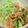 クックM6DK2O☆'s cooksnap of when they made あっさりと！なめこうどん.