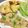 クックM6DK2O☆'s cooksnap of when they made ソース絶品！豚ロースのレモンハーブ焼き.