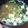 ﾋﾟﾛﾐ♡'s cooksnap of when they made お味噌汁にとろろ昆布*･.