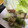 ぷーとんR's cooksnap of when they made なすとピーマンのみそ炒め.