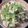 ＭＩ−ＳＡＮ's cooksnap of when they made 鶏胸肉と小松菜の柔ジューシーマヨソテー.