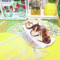sakuraロゼット's cooksnap of when they made 生椎茸保存法.